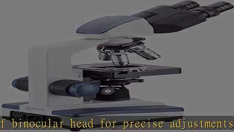 AmScope - 40X-2500X LED Lab Binocular Compound Microscope with 3D-Stage + 50pc Blank Slides + 100 C