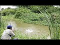 Fish Hunting Big 🎣Rohu fish Tilapia fishes to maral fishing Mancing Fishing Best Village FISHING