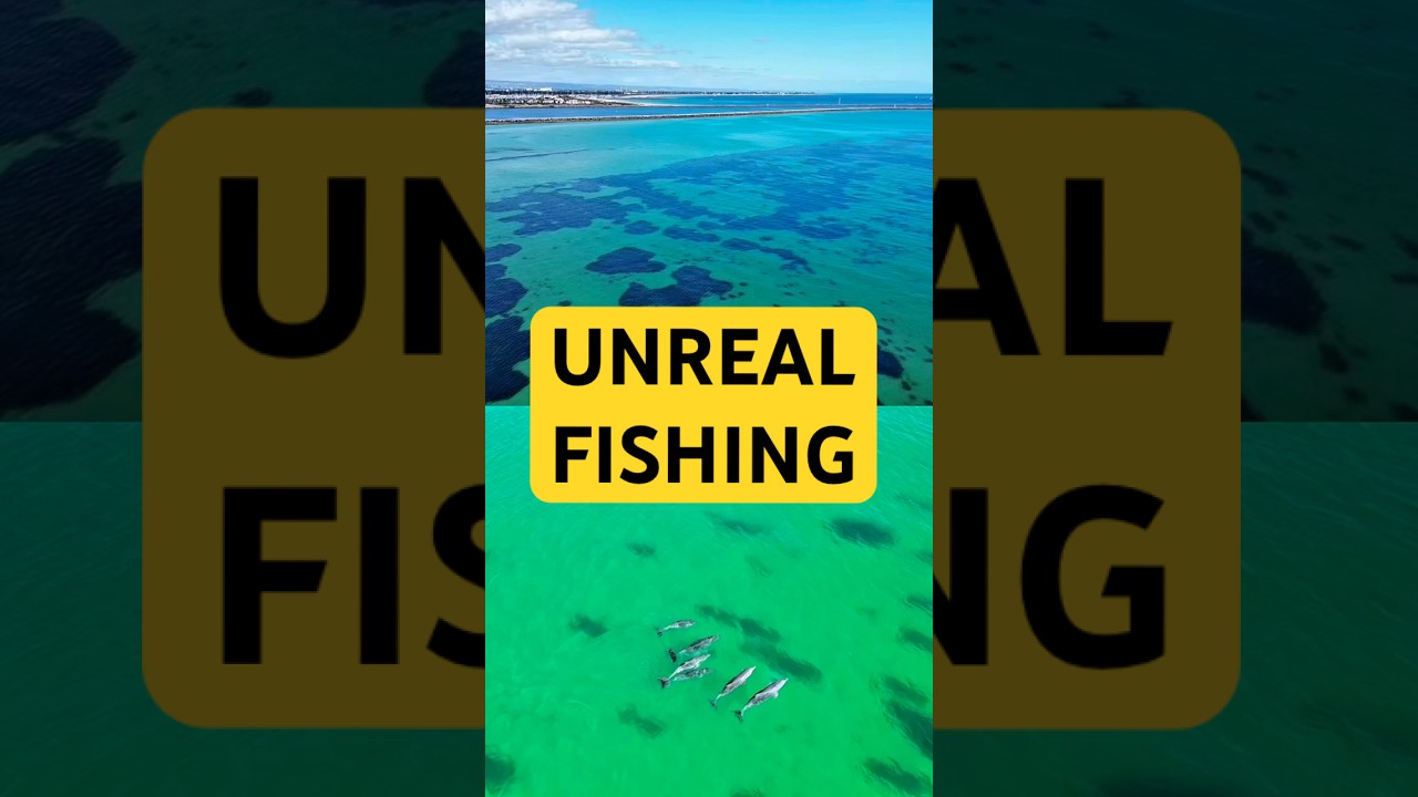 Fishing Adelaide metro waters!! 