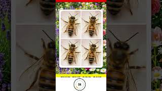 Eye Test Level: EXPERT. Did you find the hidden [Object]?