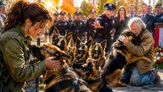 Nobody Noticed the Young Woman at the Military Memorial — Until 7 K9 Dogs Abandoned Their Handler...