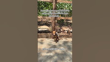 Gofundme link in bio to help out please 🙏