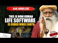 Connaissance rare  comment le logiciel de la vie humaine est cod lors de la naissance  sadhgourou