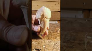 The Shoebill is a really interesting bird and so it deserves to be carved #woodcarving #artprocess