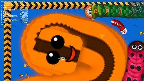 NOOB,PRO,or HACKER in Worms Zone.io - Snake Games - Xmood Roy