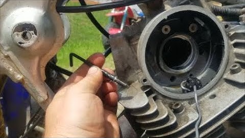 Warrior 350 maintenance