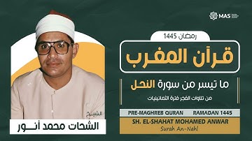 قرآن المغرب | ما تيسر من سورة النحل | الشيخ. الشحات محمد أنور