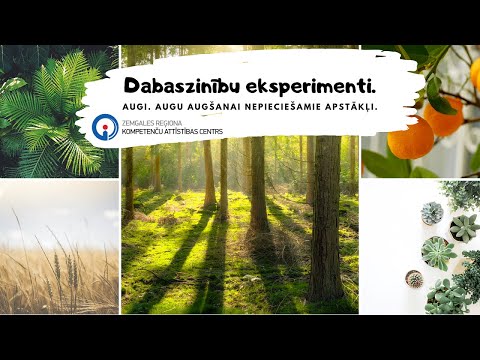 Dabaszinību eksperimenti (IV) Augi. Augu augšanai nepieciešamie apstākļi.