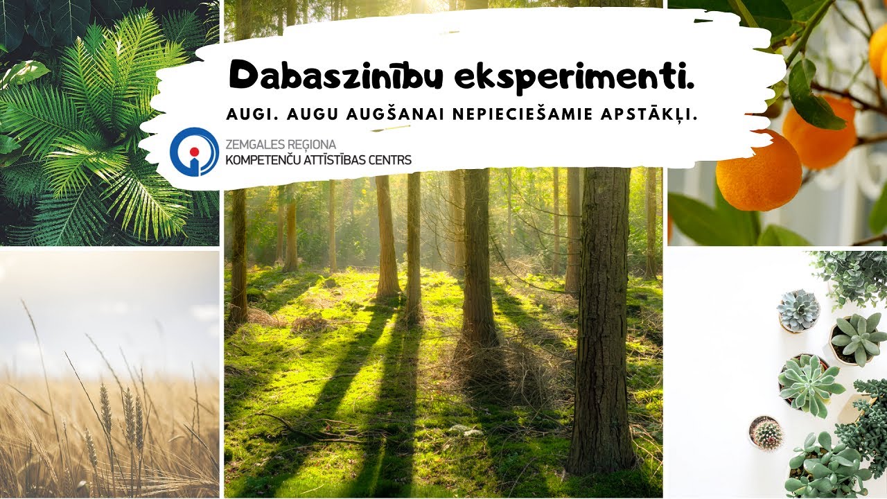 Dabaszinību eksperimenti (IV) Augi. Augu augšanai nepieciešamie apstākļi.