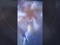 Knocking Cell Jr out of the fight