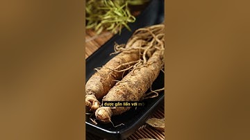 Tìm hiểu về hoạt chất Saponin trong Sâm Dây Ngọc Linh