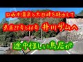 駿河国車中泊旅９　井川ダムへ　途中怪しい鳥居発見！