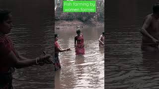 Fish farming by women farmers