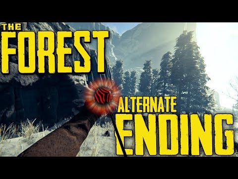 Video: Once Lost In The Forest - Alternative View
