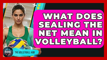 What Does Sealing The Net Mean In Volleyball? - The Volleyball Hub
