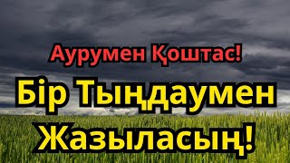 :  ,  ! 100%  !
