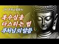 복수심을 다스리는 법｜부처님 말씀으로 마음의 평화를 얻다
