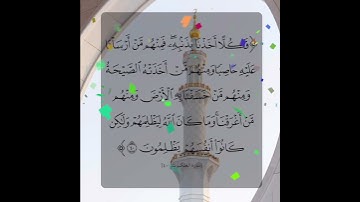 سورة العنكبوت الآية ( 40 )
