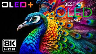 BEST OLED TEST - Explore Mesmerizing Earthviews in 8K HDR | Dolby Vision™