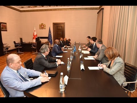 ირაკლი კობახიძის შეხვედრა გაეროს ელჩებთან