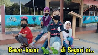 VLOG | Pusat konservasi Dan Penerangan Penyu, Segari, Perak.