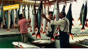 Modern Agriculture Machines That Are At Another Level 16