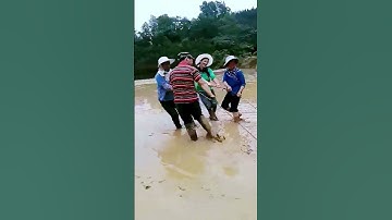 The process of paddy field leveling = good tools to increase efficiency