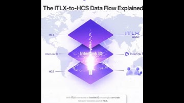 The ITLX → HCS Data Flow, Explained #interlink #itlg #itl #itlx