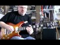Cort M600 Guitar - Roy Fulton