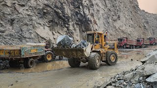 Caterpillar 966F VS 950G Vs 966D Vs 966E Wheel Loaders: Loading Huge Rocks into Big Dump Trucks