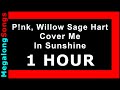 Pink, Willow Sage Hart - Cover Me In Sunshine (P!nk) 🔴 [1 HOUR] ✔️