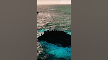 واتس اب قران كريم القارئ ياسر الدوسري (سوره الحجر)