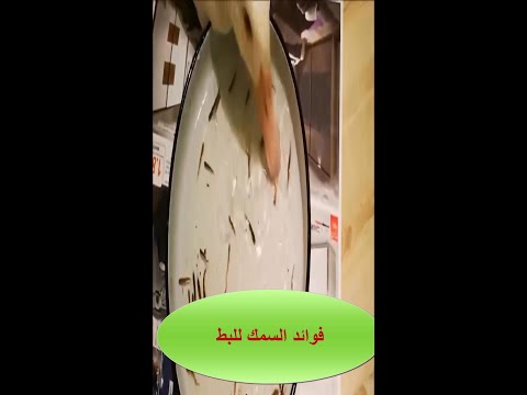  فوائد السمك للبط وتسمين البط
