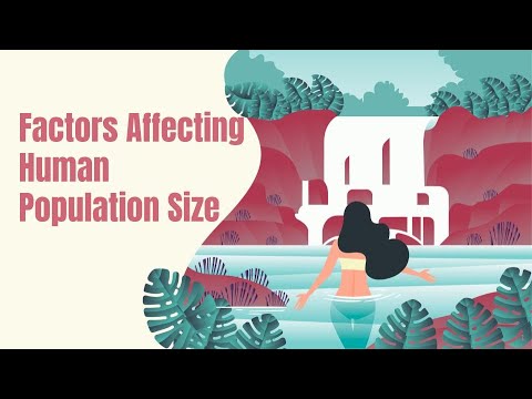 Videó: Milyen három tényező befolyásolhatja a népesség méretét?
