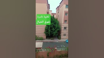 تلاوة نادرة تجعلك تبكي من الخشوع/ القران الكريم نور الحياة