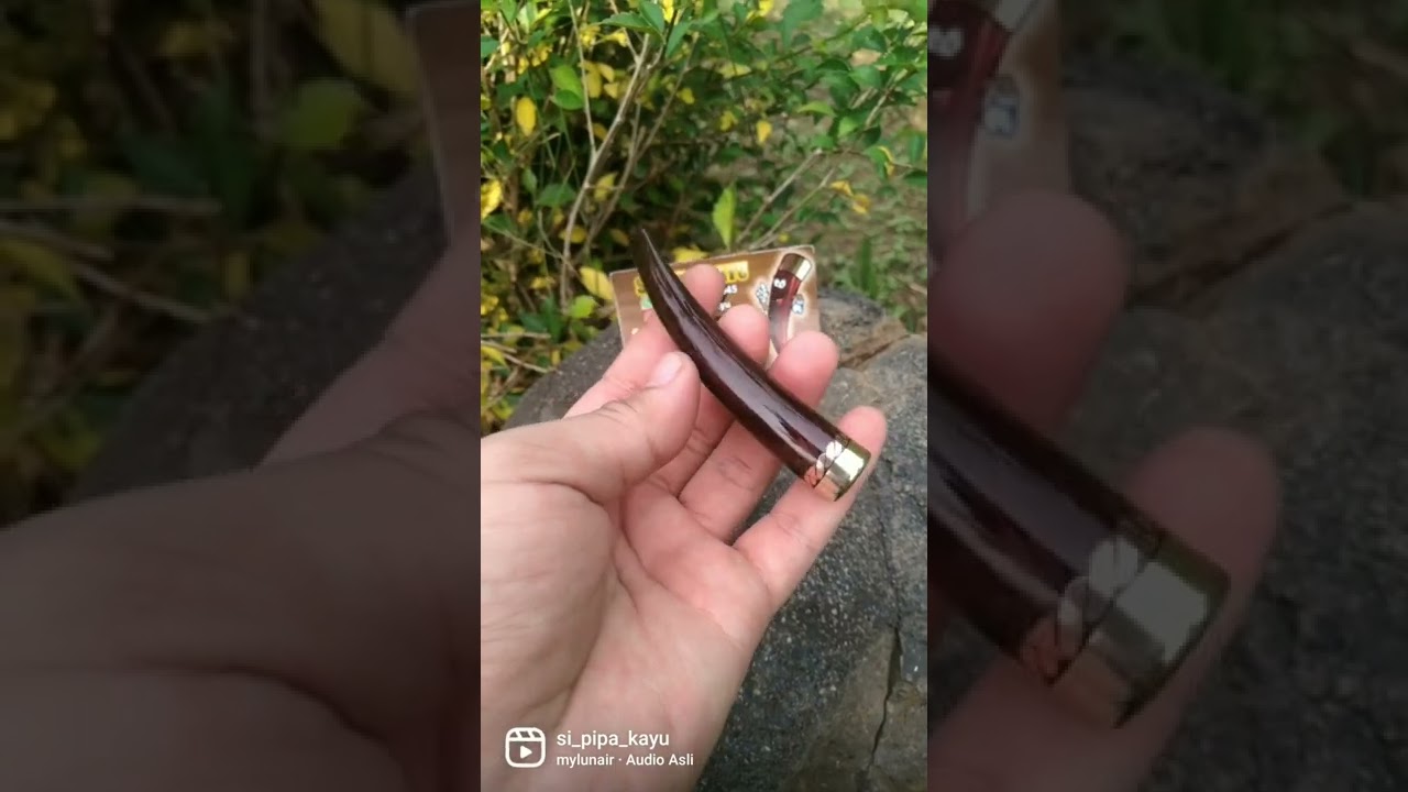 Pipa Rokok Galih Asem Lengkung Cula || Si Pipa Kayu