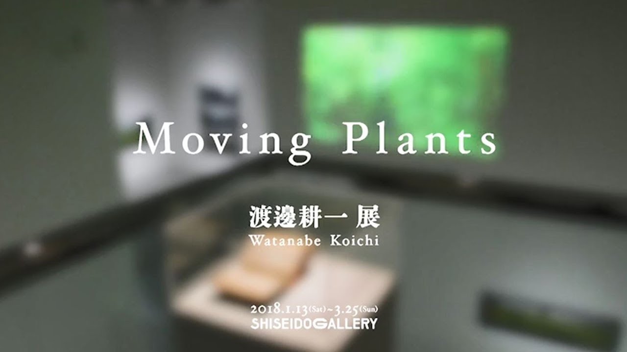 渡邊 耕一展 Moving Plants Moving Plants Koichi Watanabe Exhibition At Shiseido Gallery 資生堂 Youtube