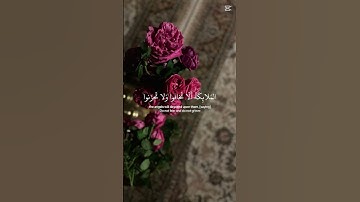 قرآن كريم #اللهم_صل_على_محمد_وال_محمد #اكسبلور_explore #اكسبلور #لايك #المصحف #الرحمن