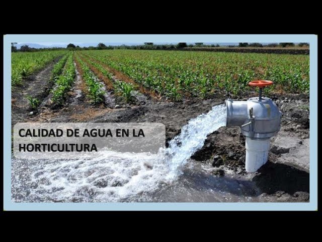 egipcio fácilmente lona Calidad del Agua para el riego. - YouTube