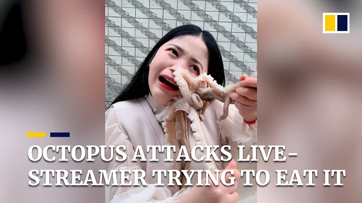 Octopus attacks live-streamer as she tries to eat it alive in China - DayDayNews