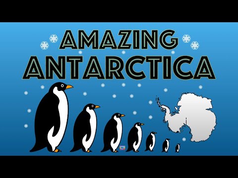 #continents #antarctica Antarctica || Fun Facts