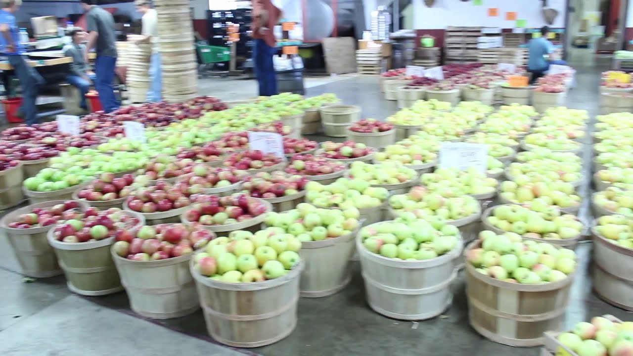 SugarCreek ,Ohio Amish Country YouTube