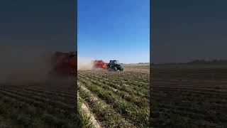 В СПК "Гигант" приступили у уборке картофеля