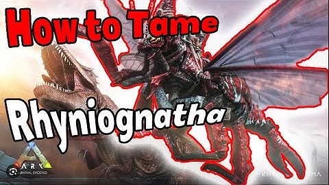 How To Tame RHYNIOGNATHA I Tutorial Ark New Dino Dinosaur Official I PVE PVP