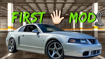 The First 5 Mods That You Should Do To Your Terminator Cobra! Beginner Car Mods!