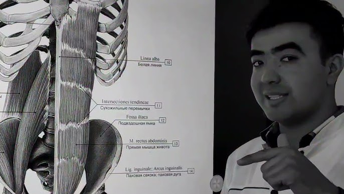 U uzun oyoqlarini yoyib, ozini mushukka berdi