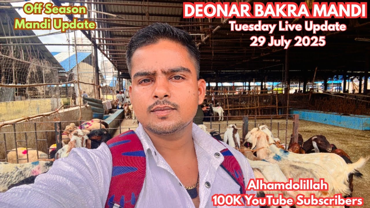 Deonar Bakra Mandi Tuesday Live Update 29 July 2025 | Off Season Mandi Update 