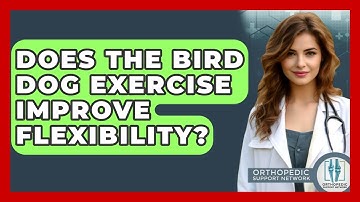 Does The Bird Dog Exercise Improve Flexibility? - Orthopedic Support Network