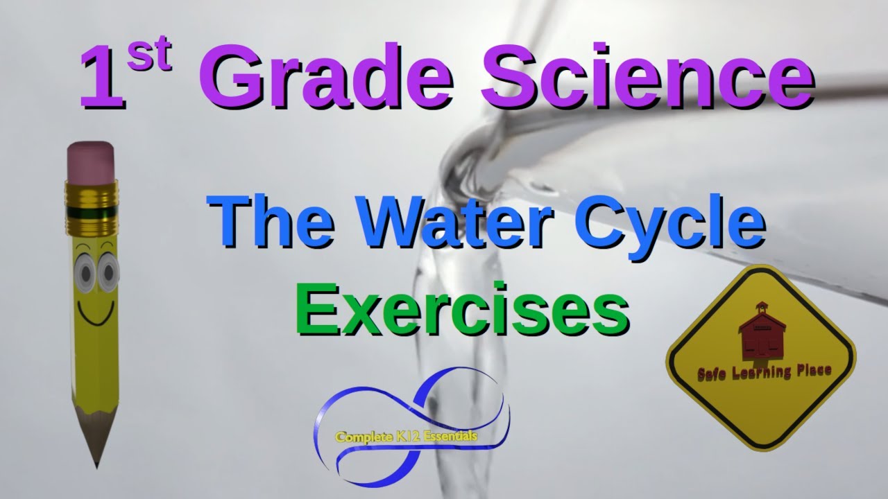 1st Grade Science The Water Cycle Exercises precipitation,collection,evaporation