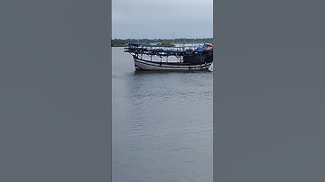 tàu câu mực xà Quảng Nam,